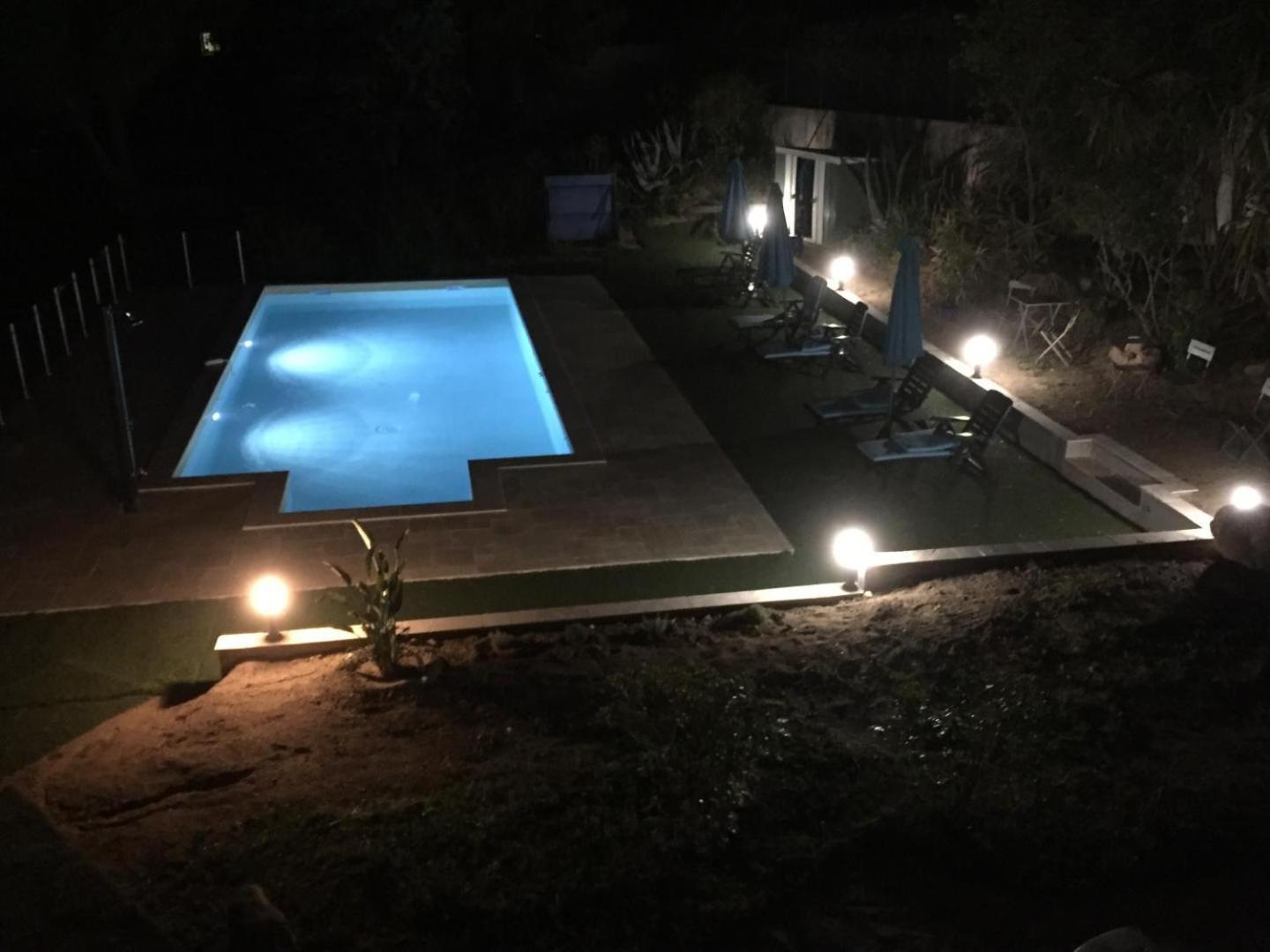 Corsicadream Arone Superbe Appartement Dans Villa, Vue Panoramique Mer, Piscine, Proche Porticcio Pietrosella ภายนอก รูปภาพ
